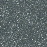 dsStella-D2857 Licorice